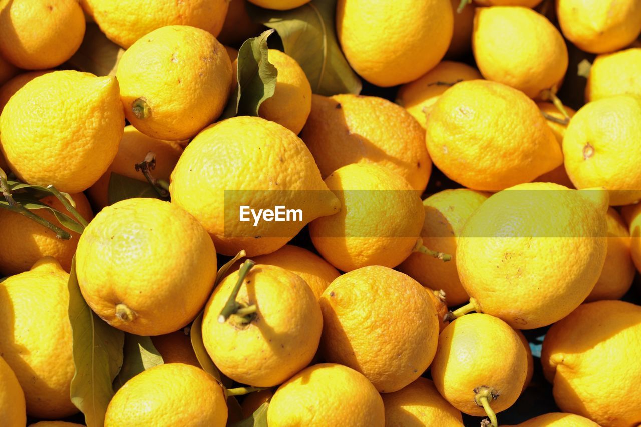 FULL FRAME SHOT OF FRUITS