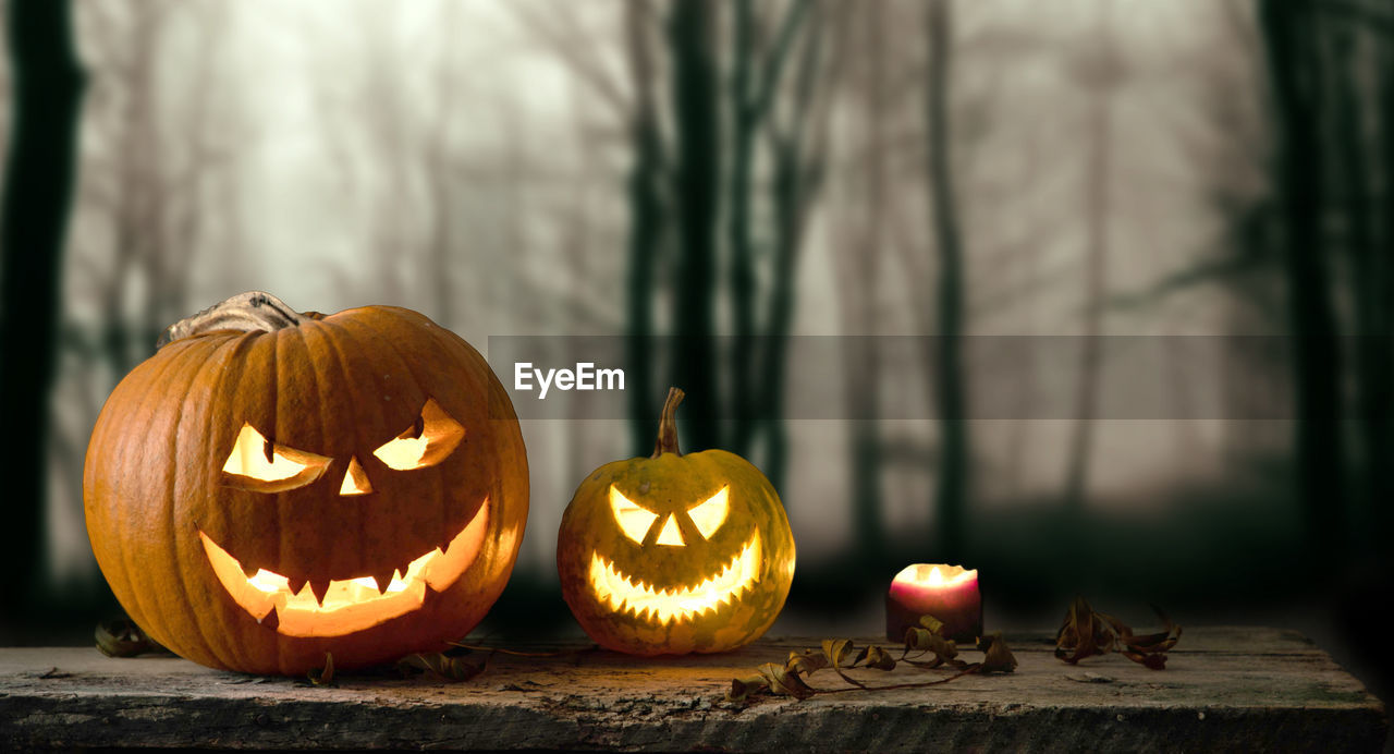 halloween, pumpkin, celebration, jack-o'-lantern, autumn, spooky, food and drink, food, holiday, anthropomorphic, anthropomorphic face, face, tradition, craft, fear, creativity, horror, decoration, nature, no people, illuminated, event, squash, focus on foreground, vegetable, tree, candle, lighting equipment, plant, orange color, smiling, outdoors, dark, wood, lantern, leaf, preparing food, plant part, forest