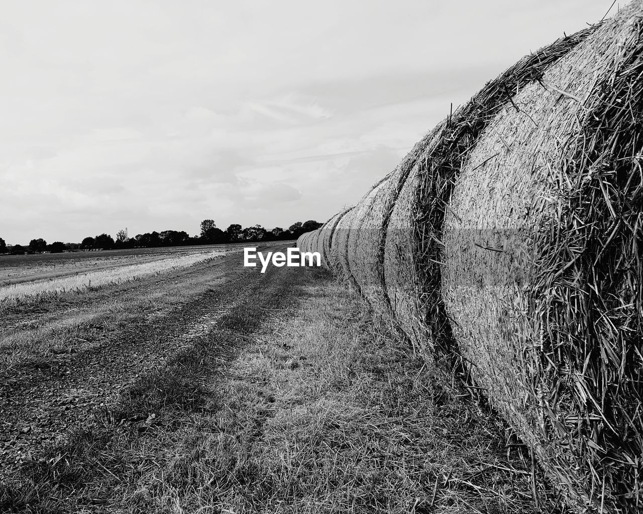 Hay bales on field against sky