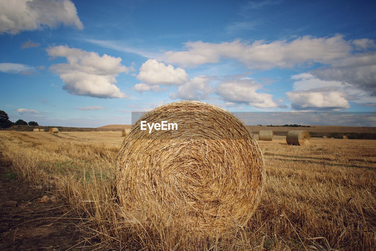 Hay bales on field against sky