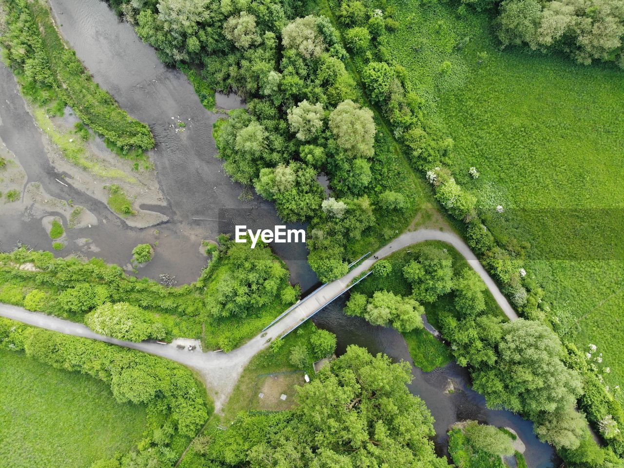High angle view of road amidst trees on field
