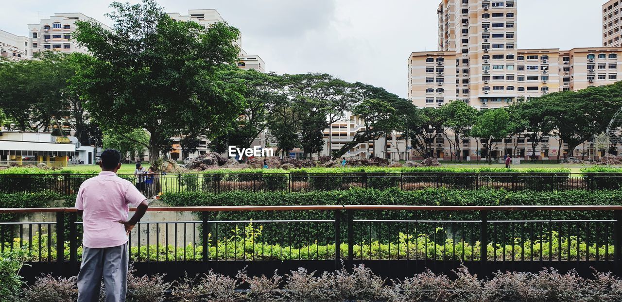 Rear view of man standing by railing and plants at public park