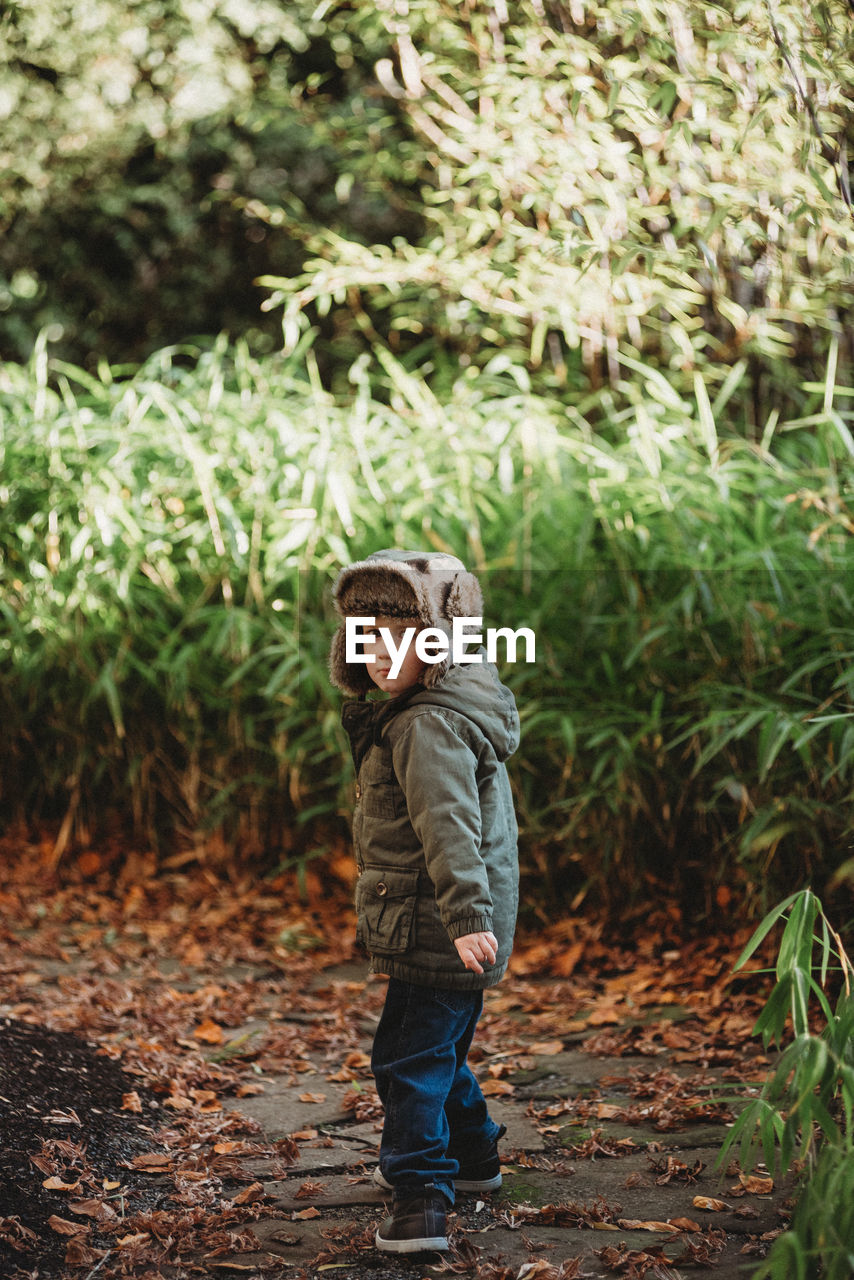 Portrait of girl standing on tree