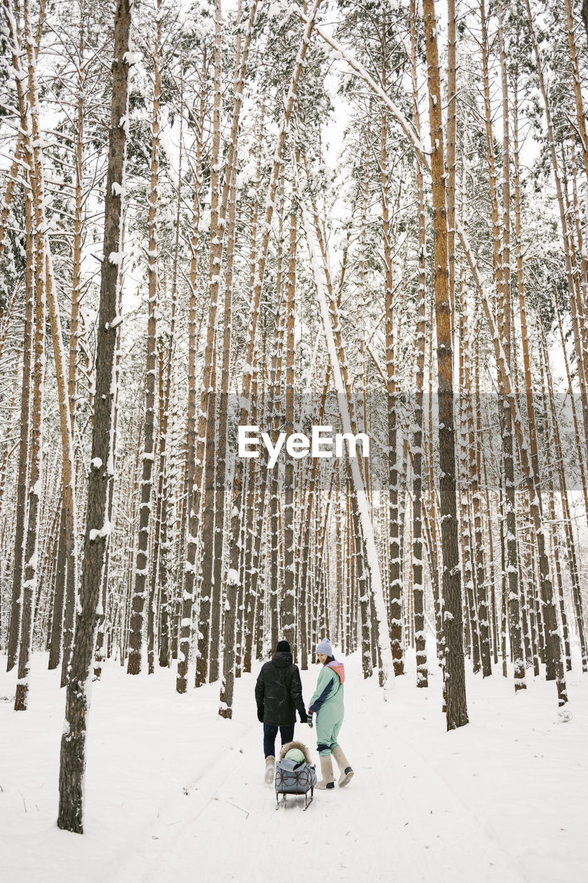 Man and woman sledding daughter amidst birch trees in winter forest