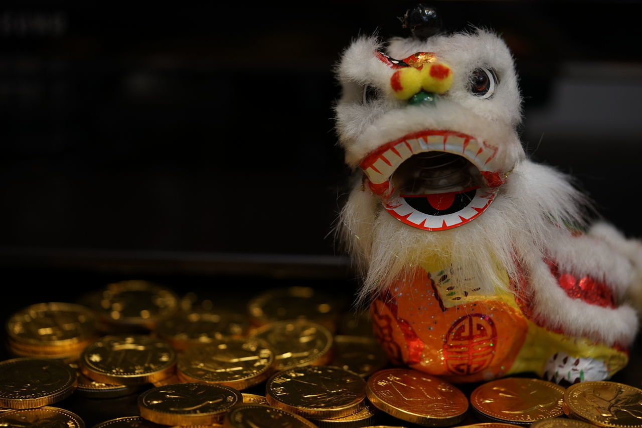 Close-up of coins and chinese lion toy