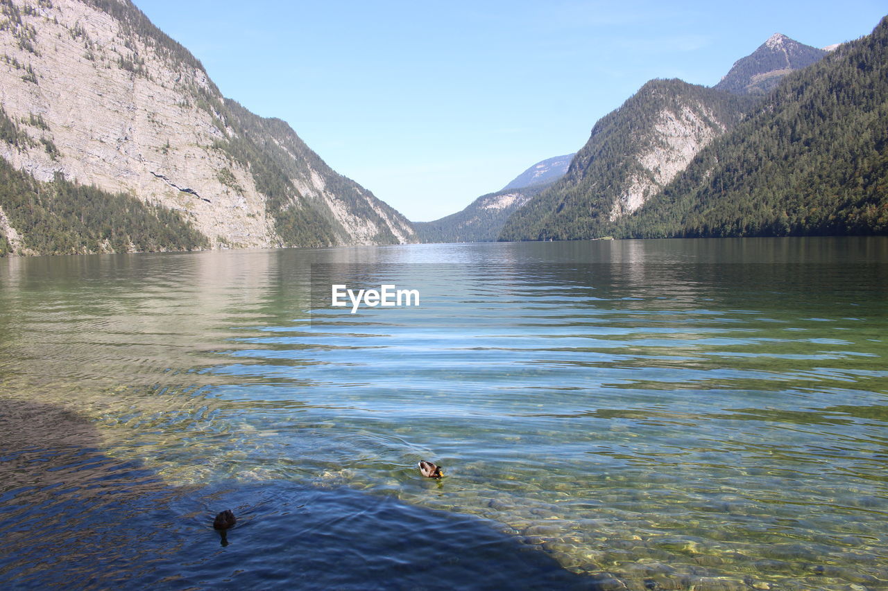 VIEW OF BIRDS IN LAKE AGAINST MOUNTAINS