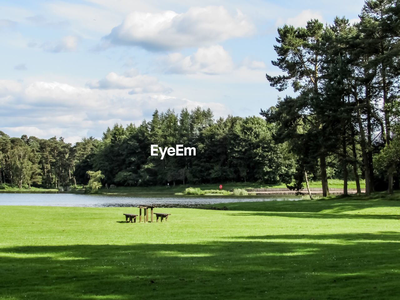 Trees on grassy field by lake against sky