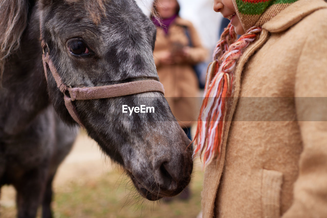 Pony sniffing unrecognizable little girl