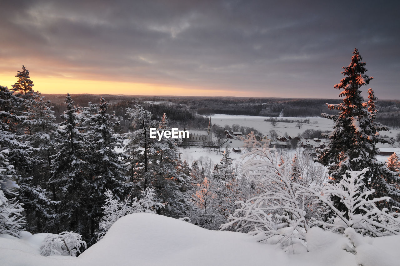 Forest in winter, gärdserum, Åtvidaberg, Östergötland, sweden, europe