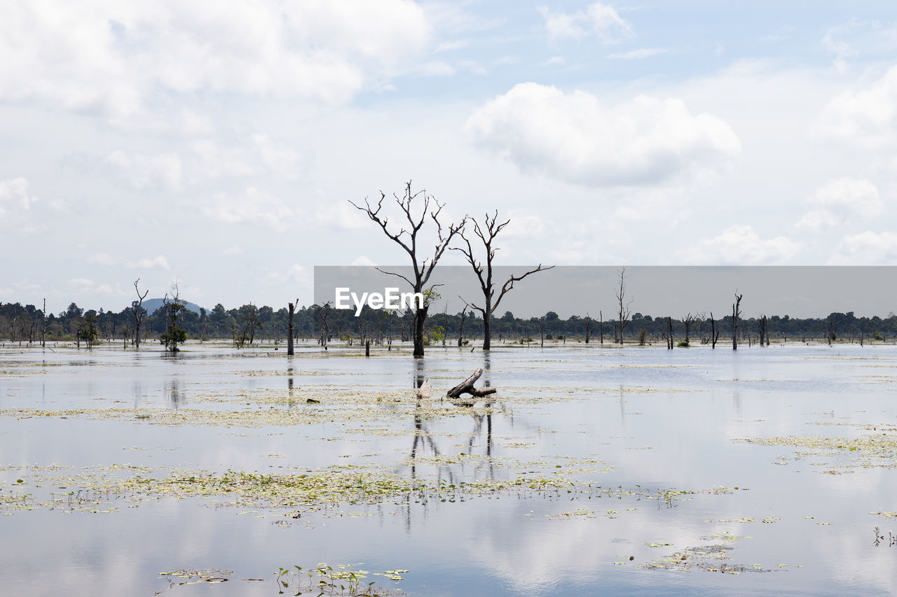 VIEW OF BIRD ON LAKE AGAINST SKY