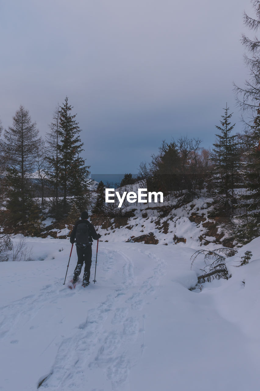 A male hiker wearing snowshoes walking in a forest in the french alps on a cold winter evening