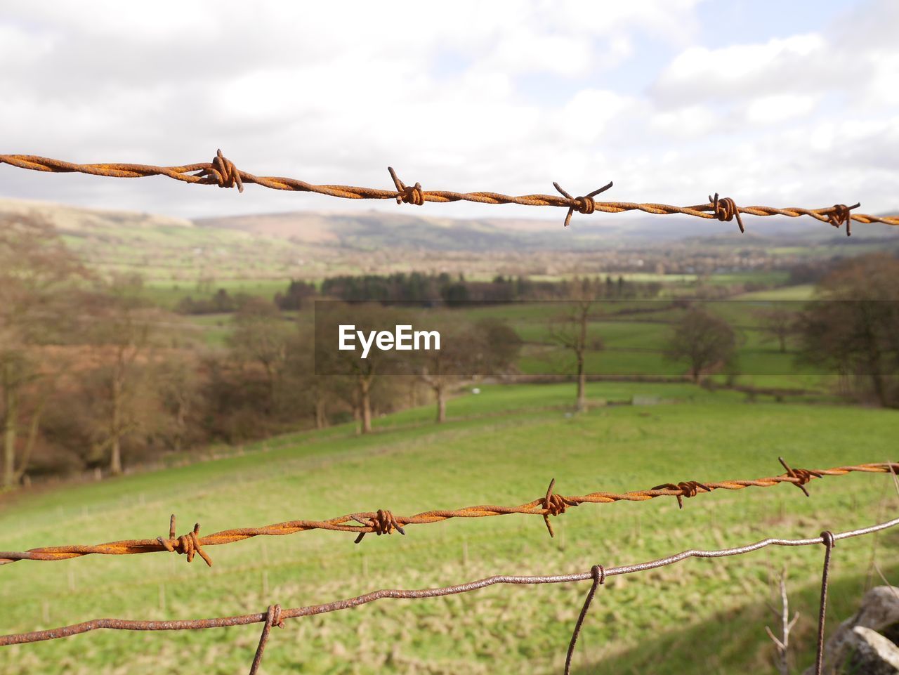 Barbed wire fence on field