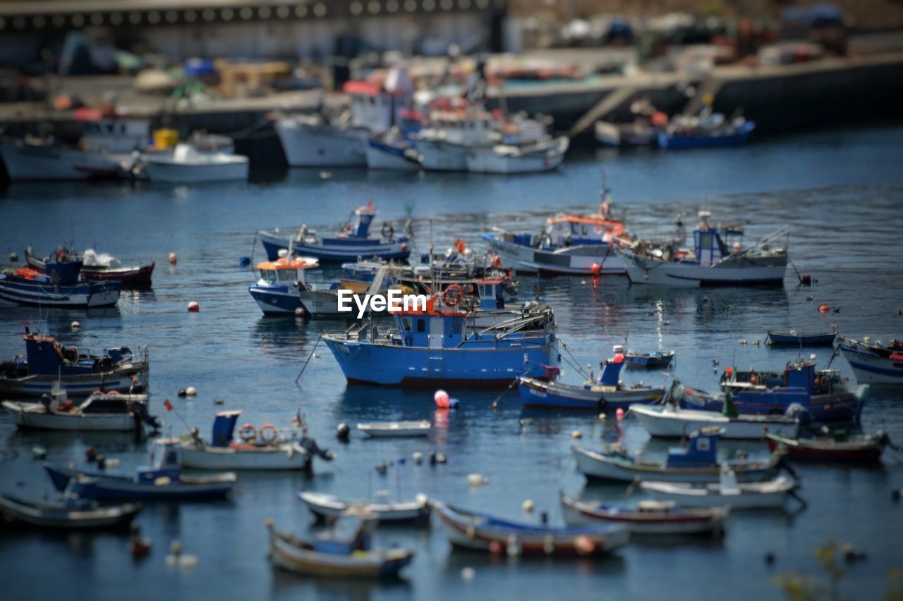 High angle view of sailboats moored in harbor