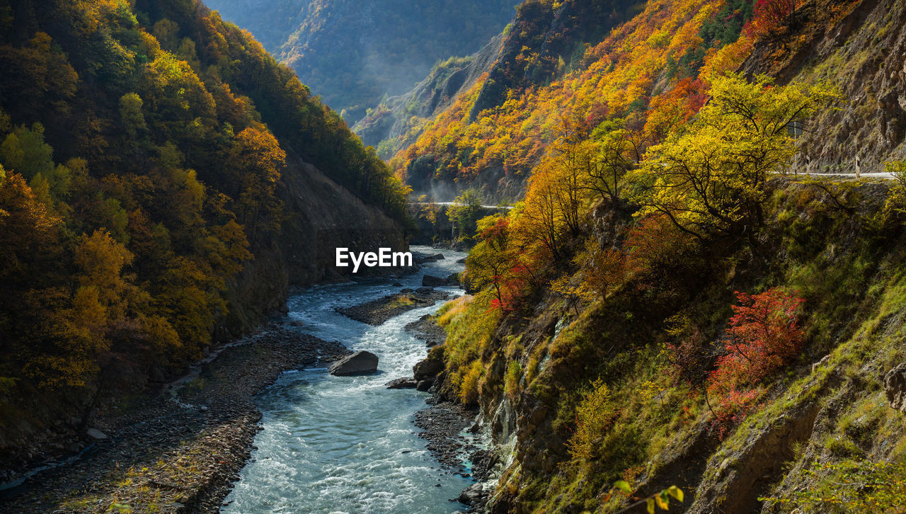 Autumn in the caucasus mountains. argun gorge in the chechen republic. autumn colors