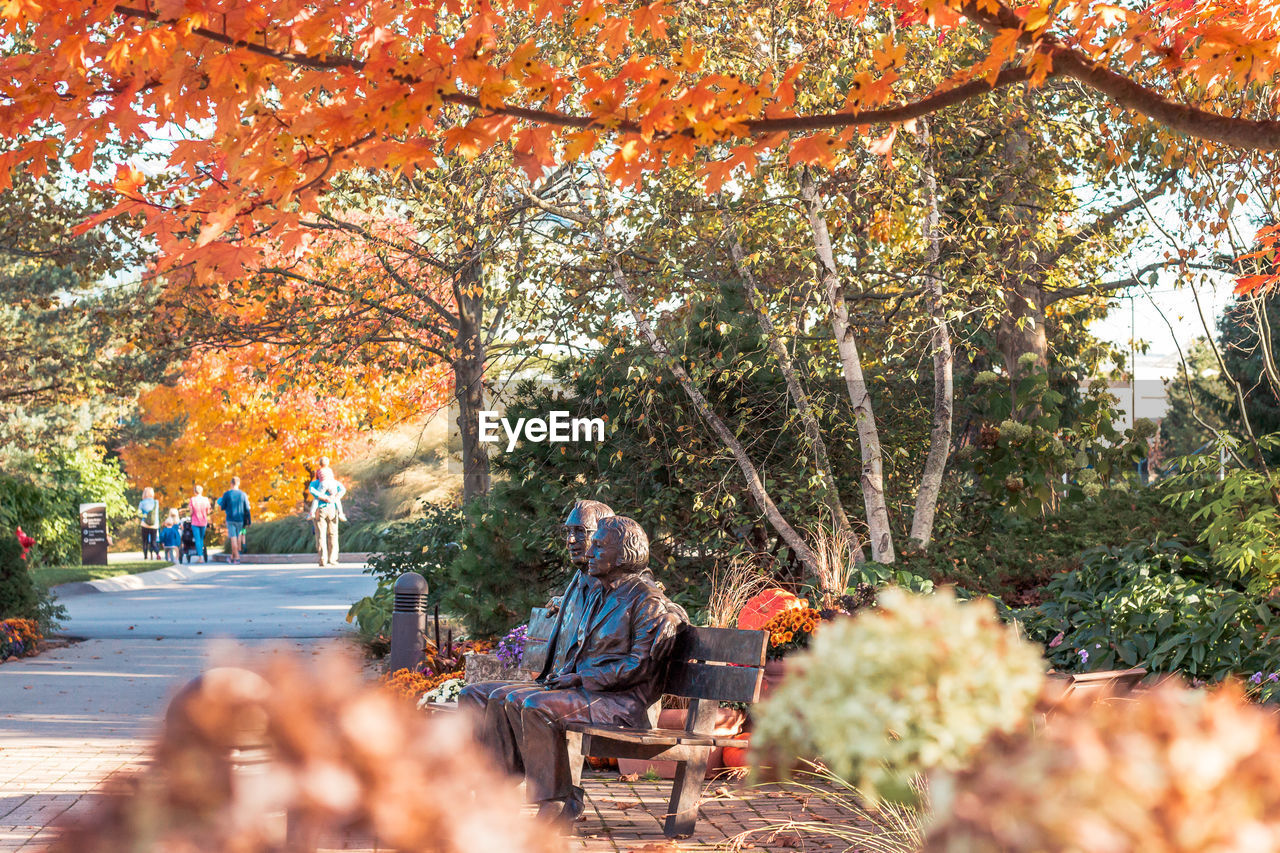 Man sitting on bench in park during autumn
