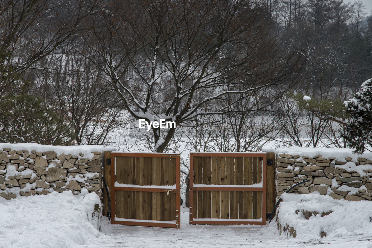 Wooden gate against bare trees on snow covered land
