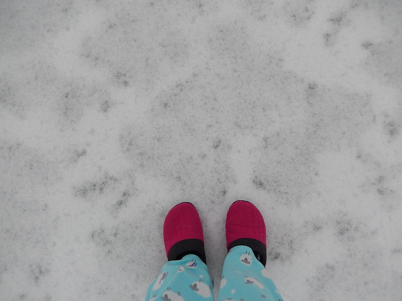 LOW SECTION OF PERSON STANDING ON SNOW COVERED GROUND