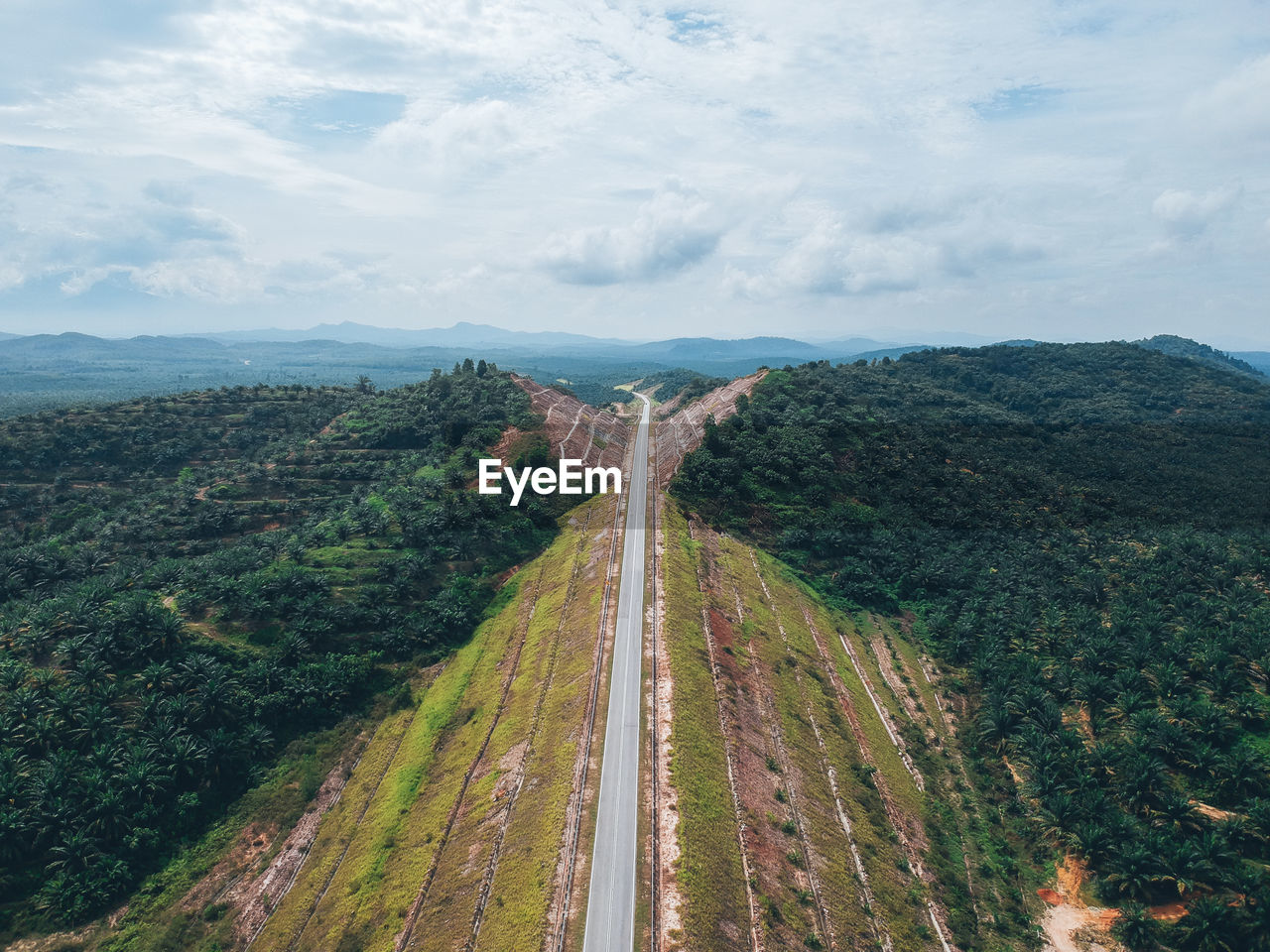 High angle view of road amidst trees against sky