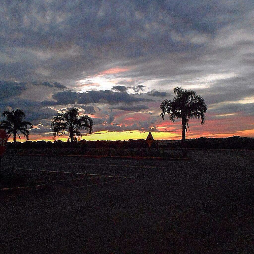 SILHOUETTE TREES AGAINST SKY DURING SUNSET