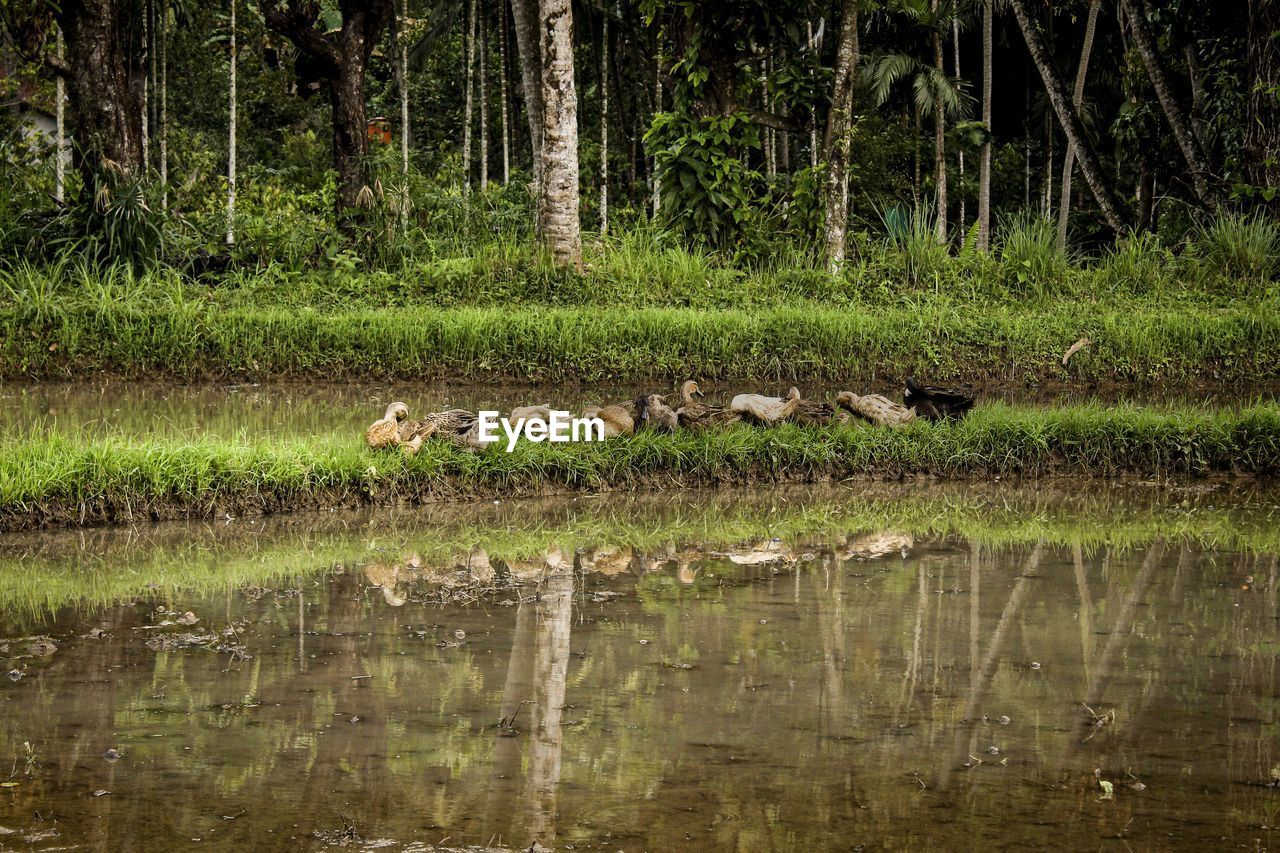 SCENIC VIEW OF LAKE