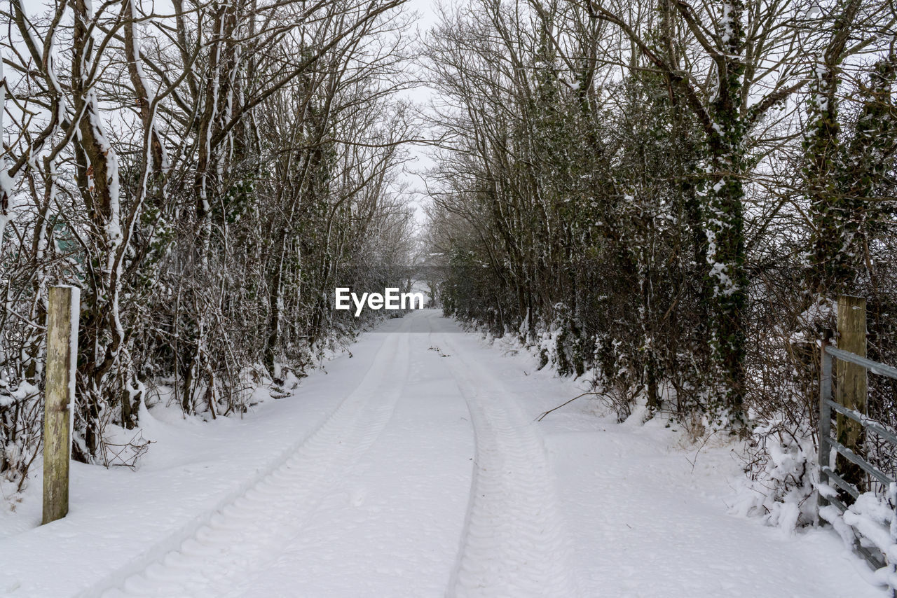 SNOW COVERED ROAD AMIDST BARE TREES