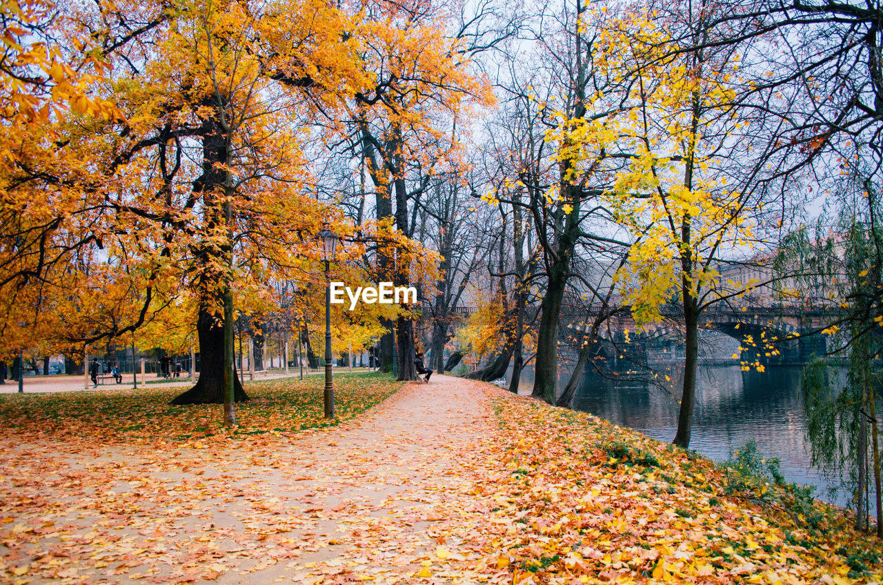 An adult man sitting in a bench in a park surrounded by foliage in an autumn day in prague, czechia