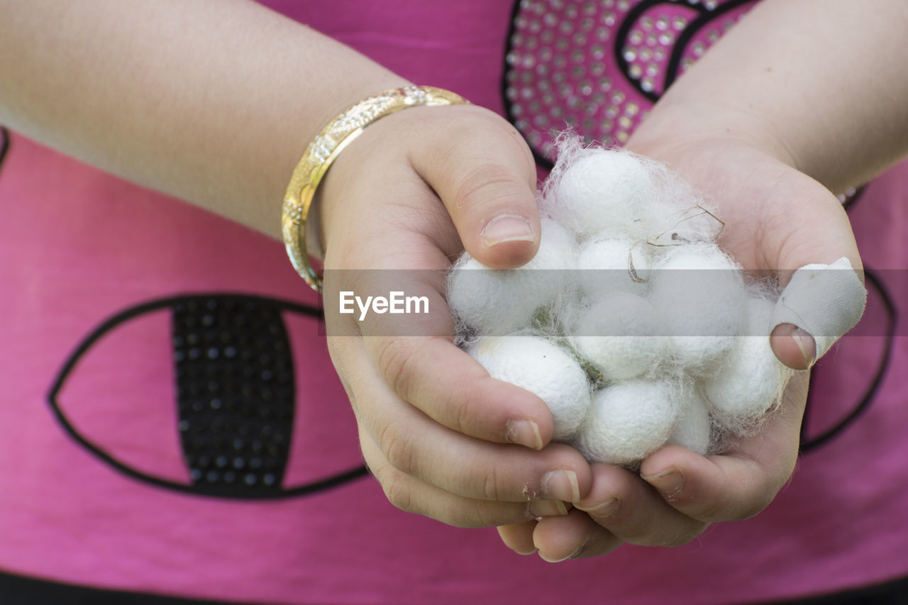 White silkworm cocoons shell on young girl's hand, source of silk thread and silk fabric