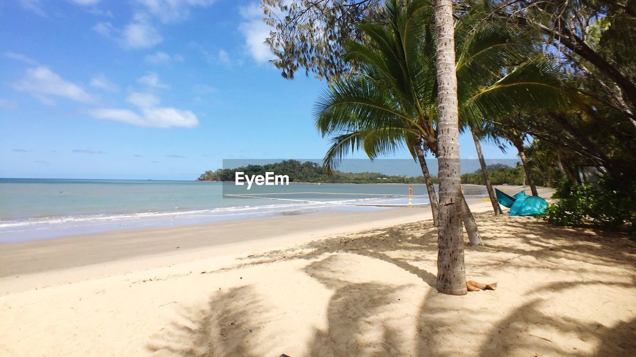 Palm trees growing on beach against sky