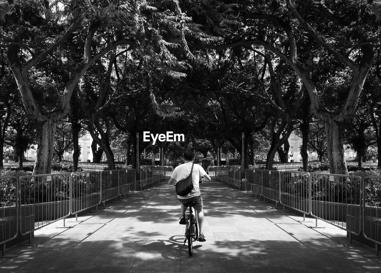 Rear view of man riding bicycle in park