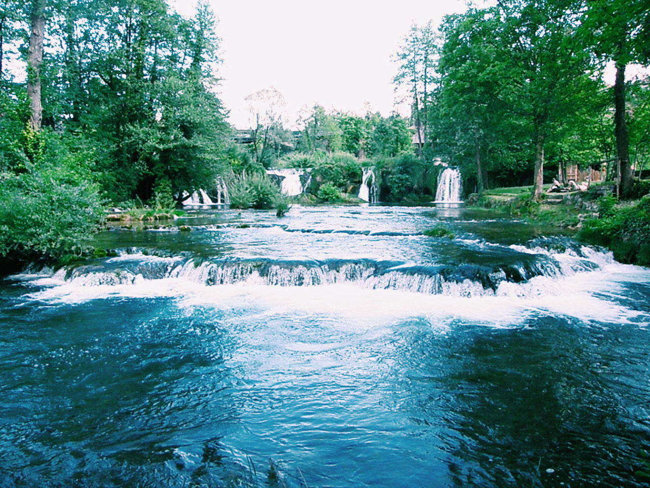 SCENIC VIEW OF RIVER WITH TREES IN BACKGROUND