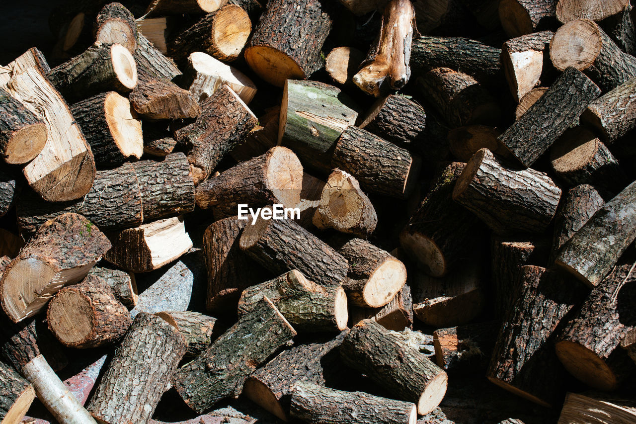 FULL FRAME SHOT OF FIREWOOD IN FOREST