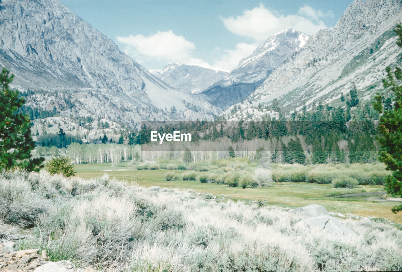 scenic view of field against mountain