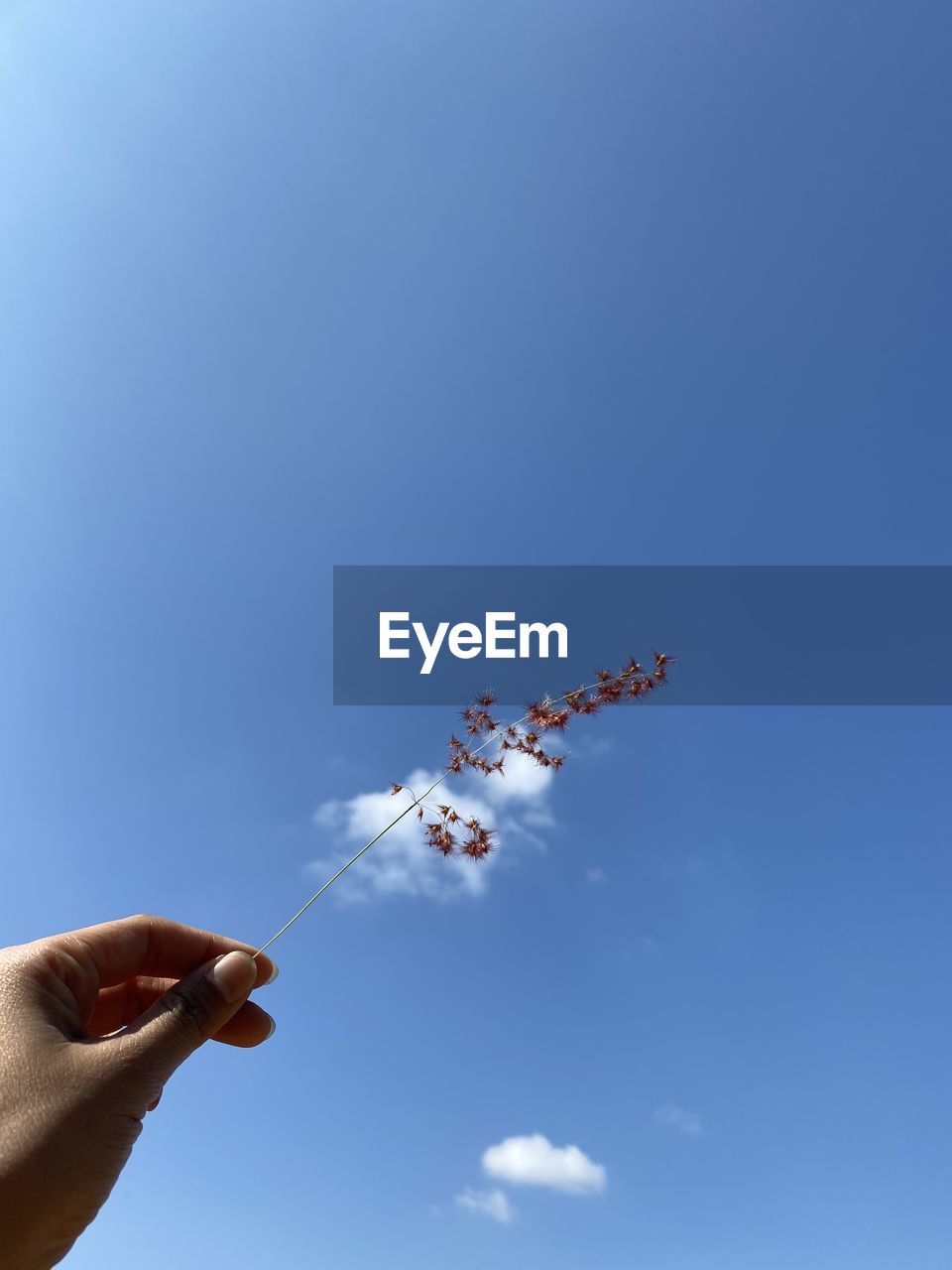 LOW ANGLE VIEW OF PERSON PARAGLIDING AGAINST SKY