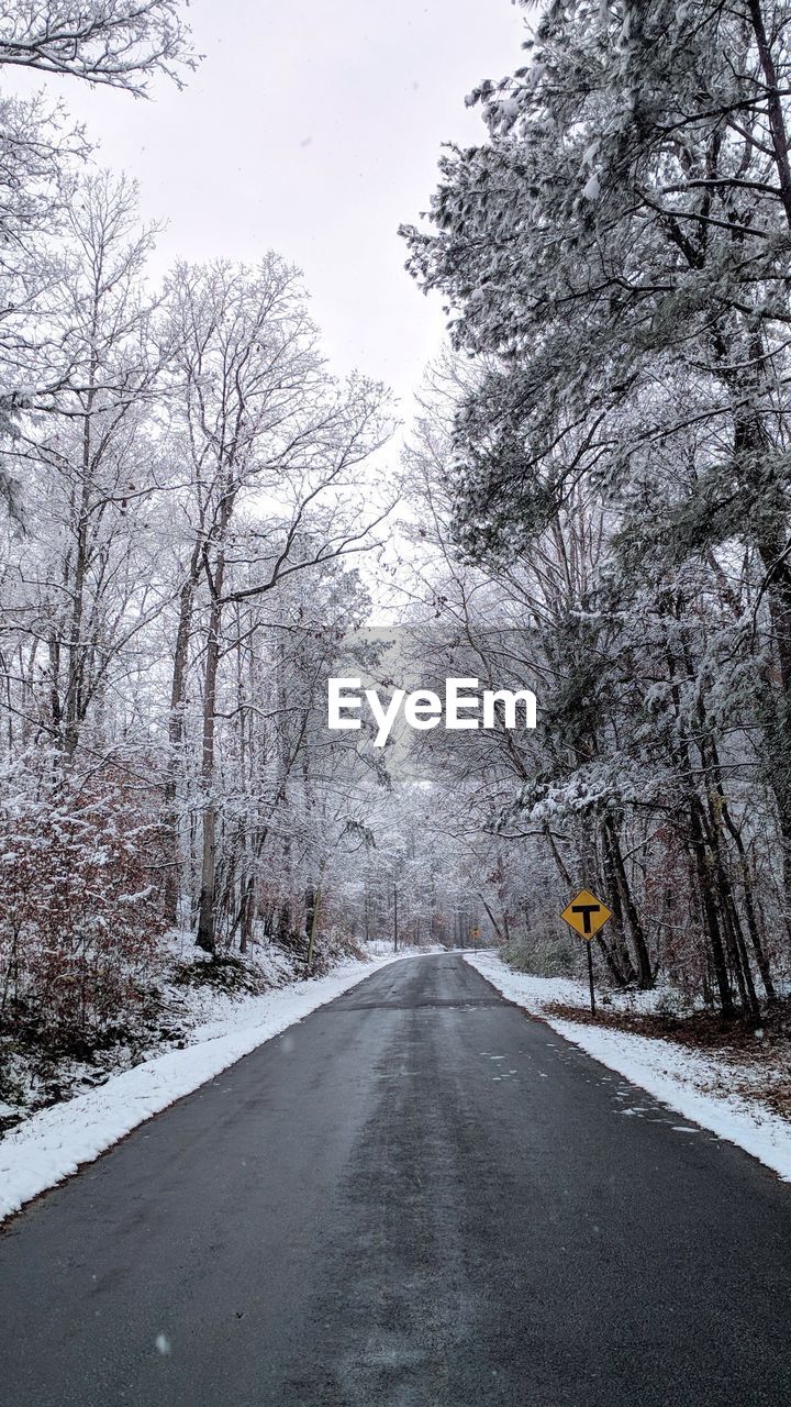 Road amidst trees during winter