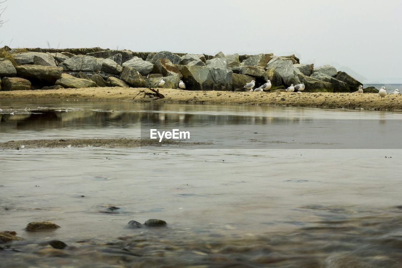 VIEW OF BEACH AGAINST CLEAR SKY