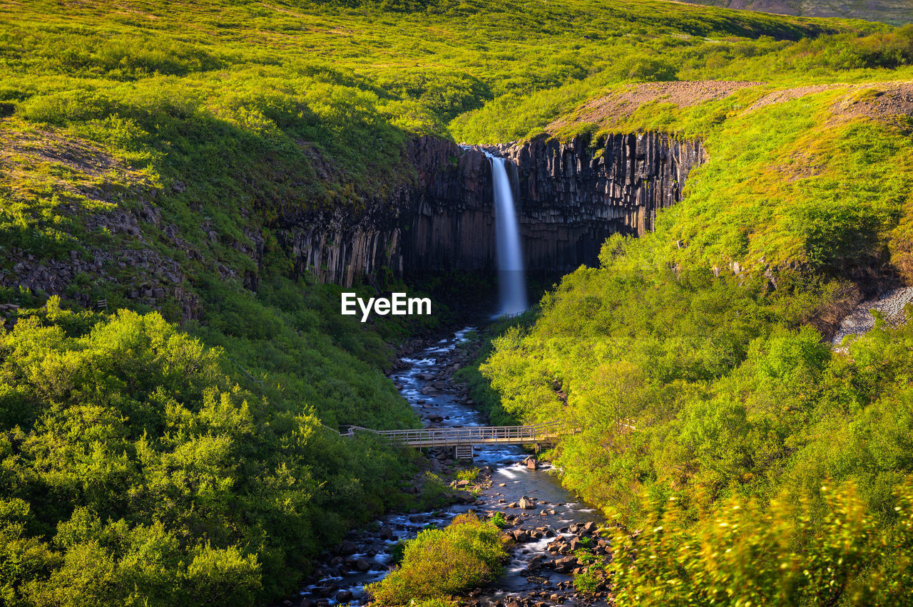 SCENIC VIEW OF WATERFALL AMIDST TREES