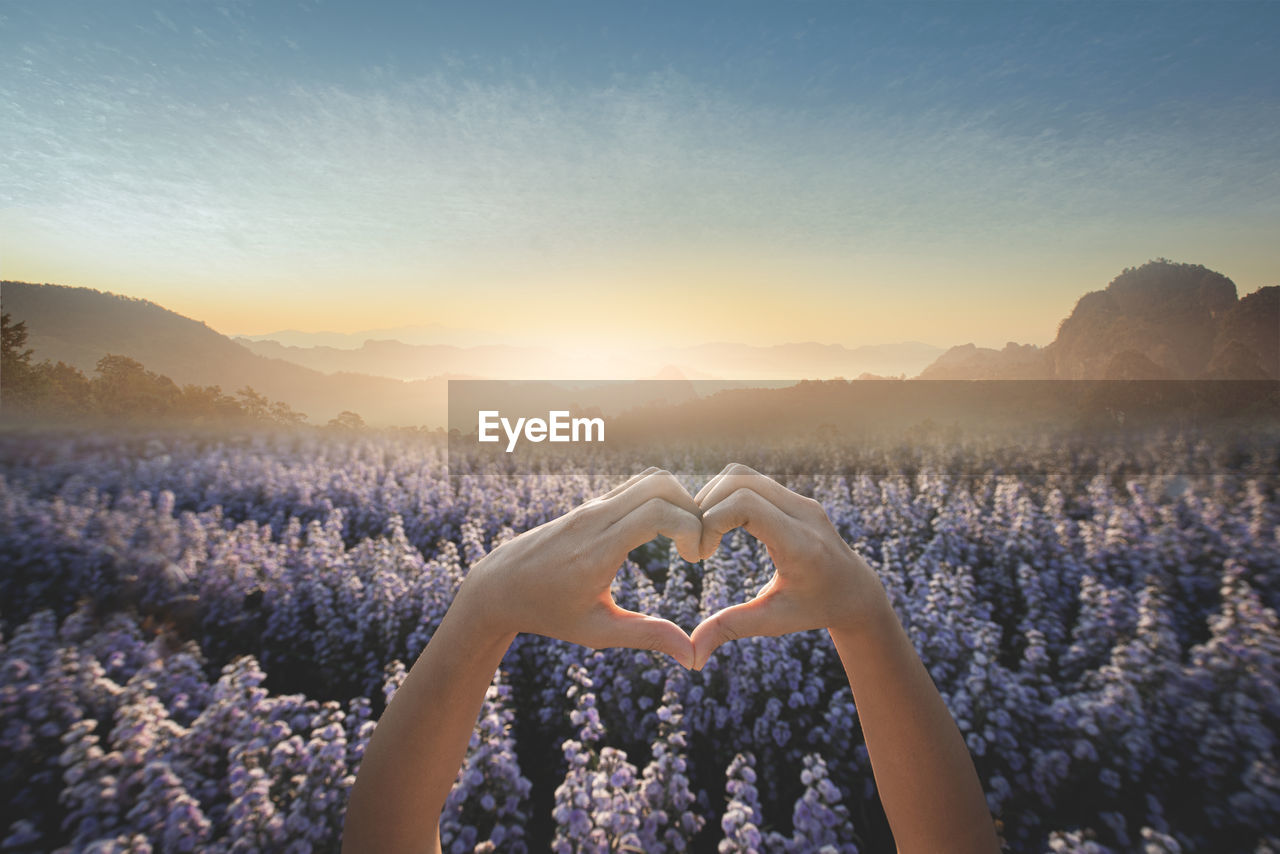 Cropped hands gesturing heart shape against purple plants