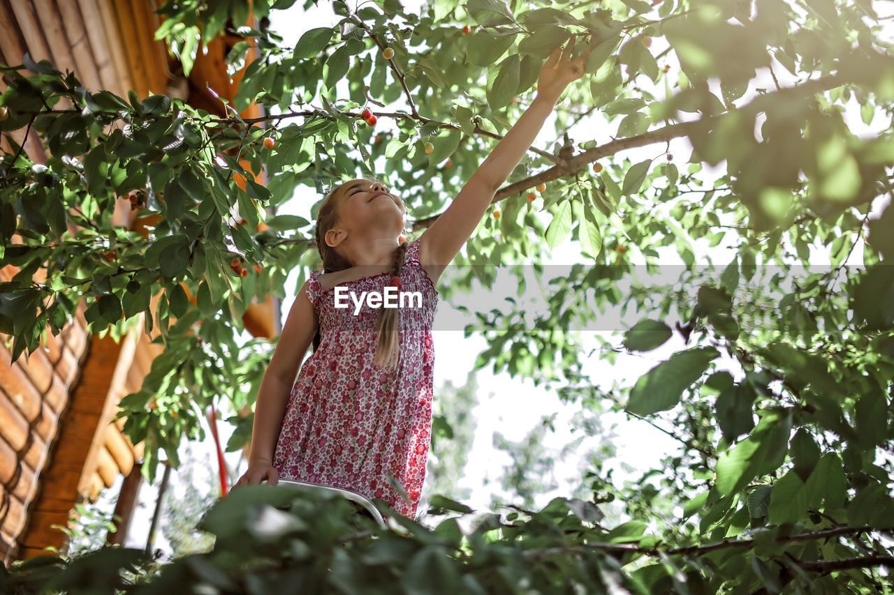 Low angle view of girl plucking fruit