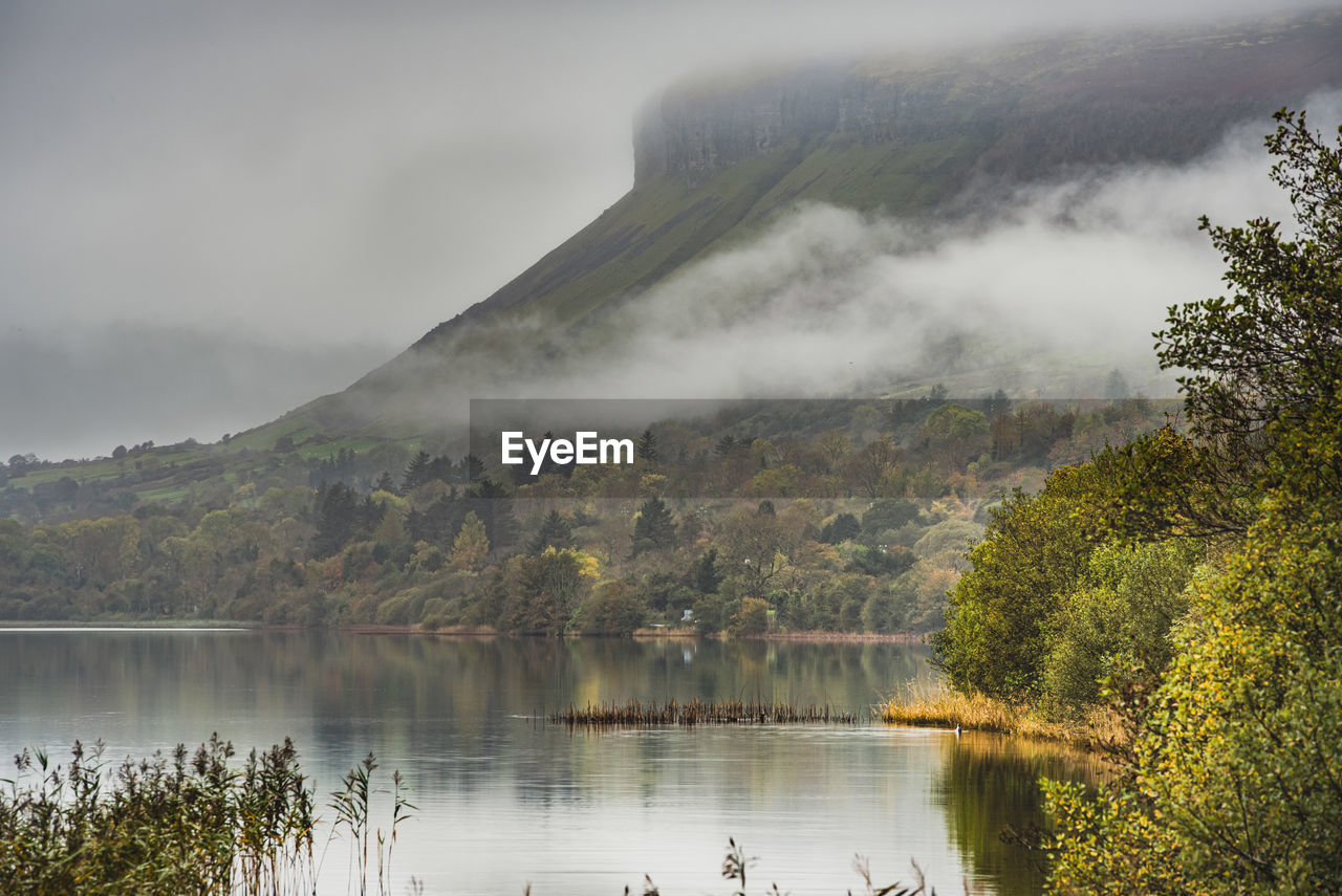 SCENIC VIEW OF LAKE AND TREES AGAINST SKY