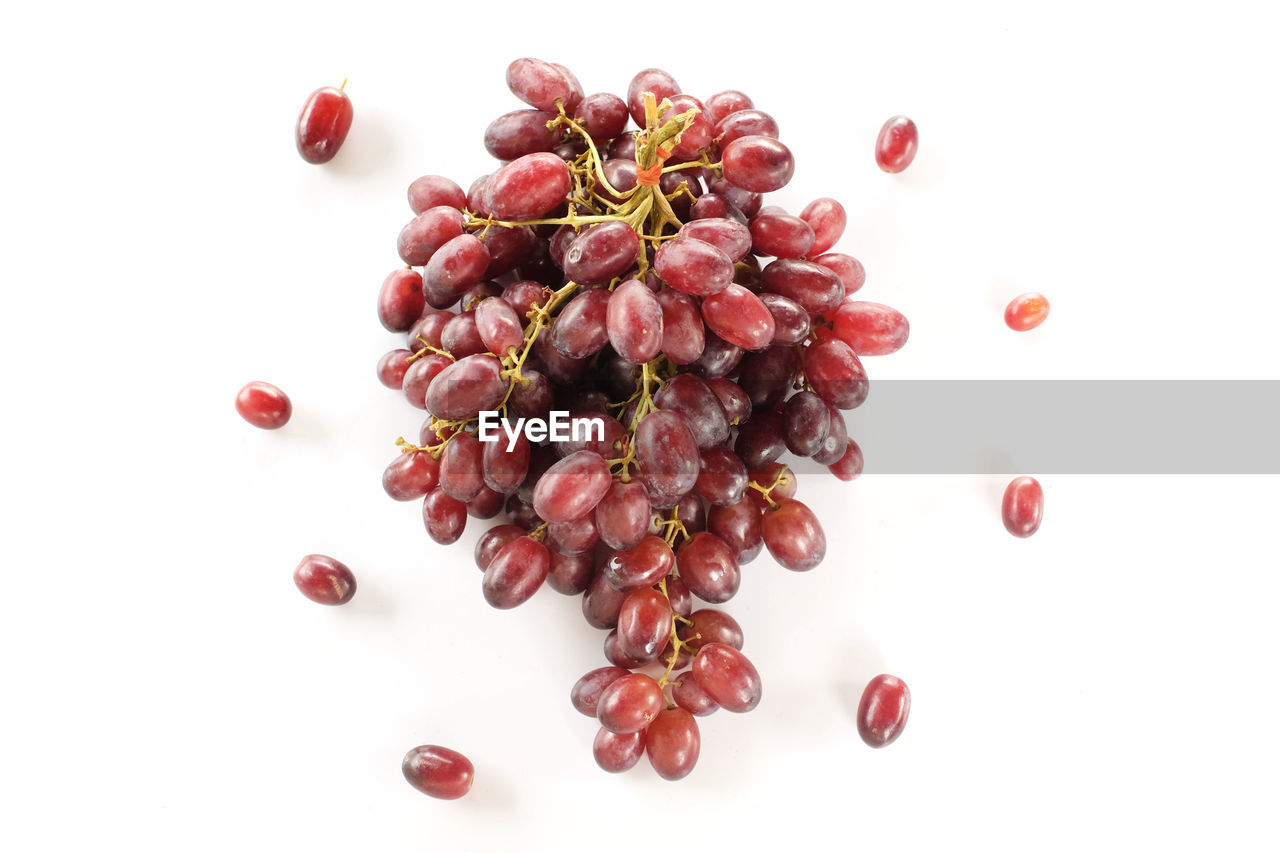 HIGH ANGLE VIEW OF RED BERRIES ON WHITE BACKGROUND