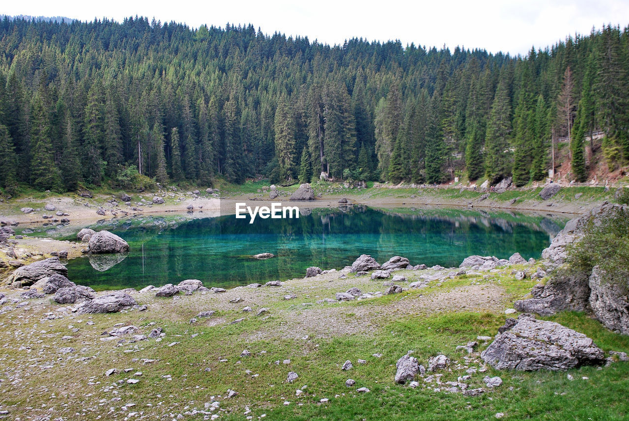 Carezza lake, karersee in german, in nova levante, south tyrol, trentino alto adige, italy.