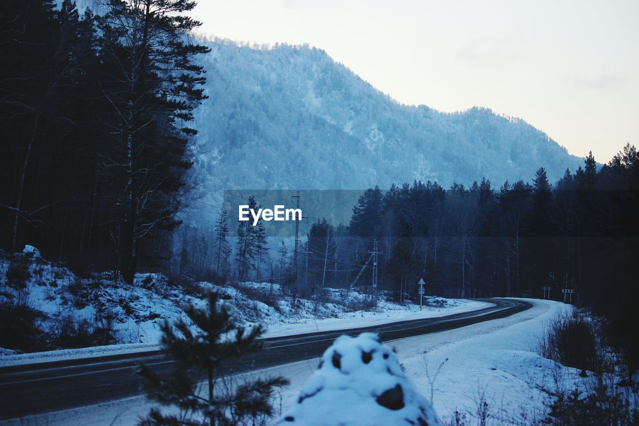 Road amidst trees during winter