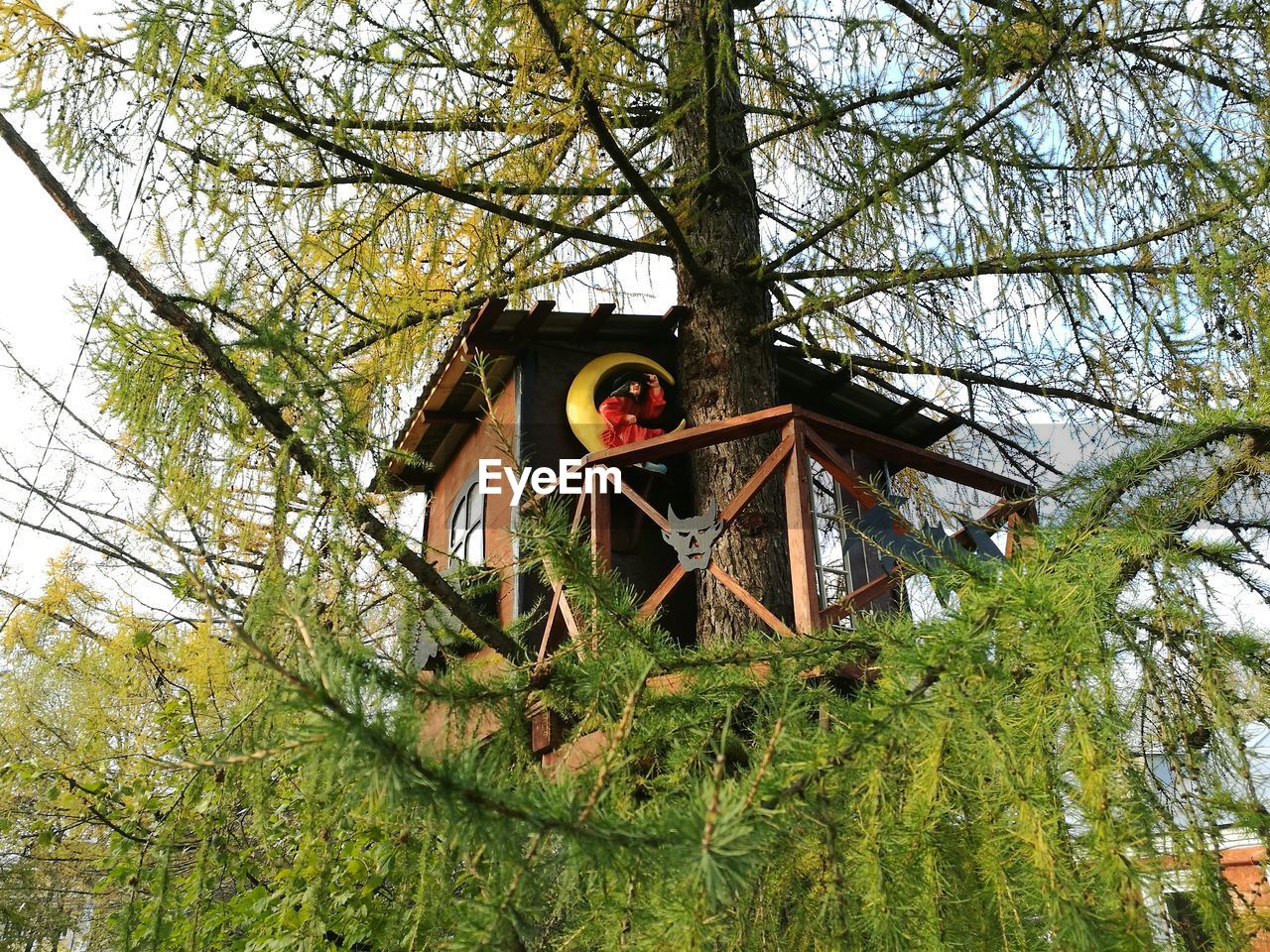 LOW ANGLE VIEW OF BIRDHOUSE ON TREE TRUNK