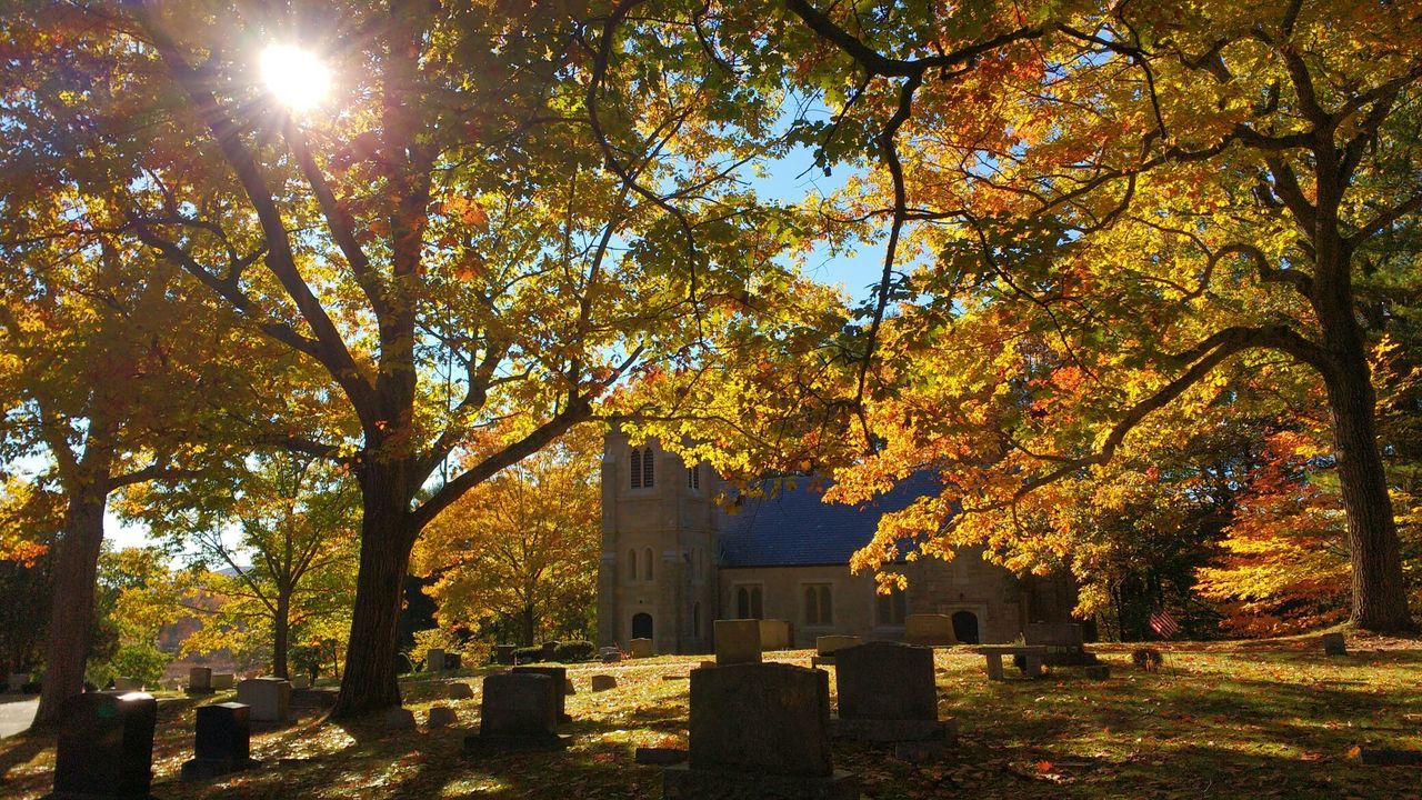 Autumn trees at cemetery by church