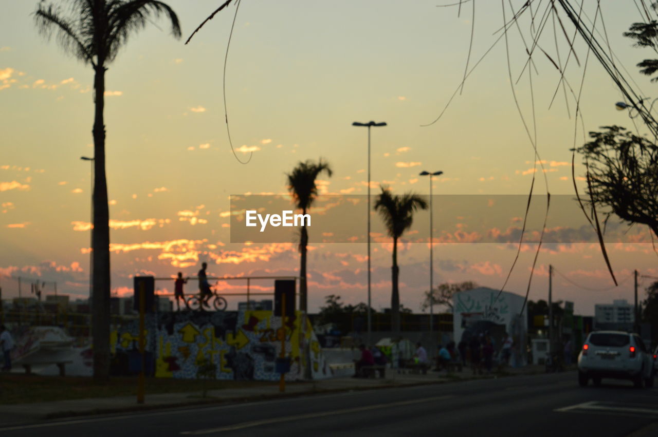 ROAD AND PALM TREES AGAINST SKY