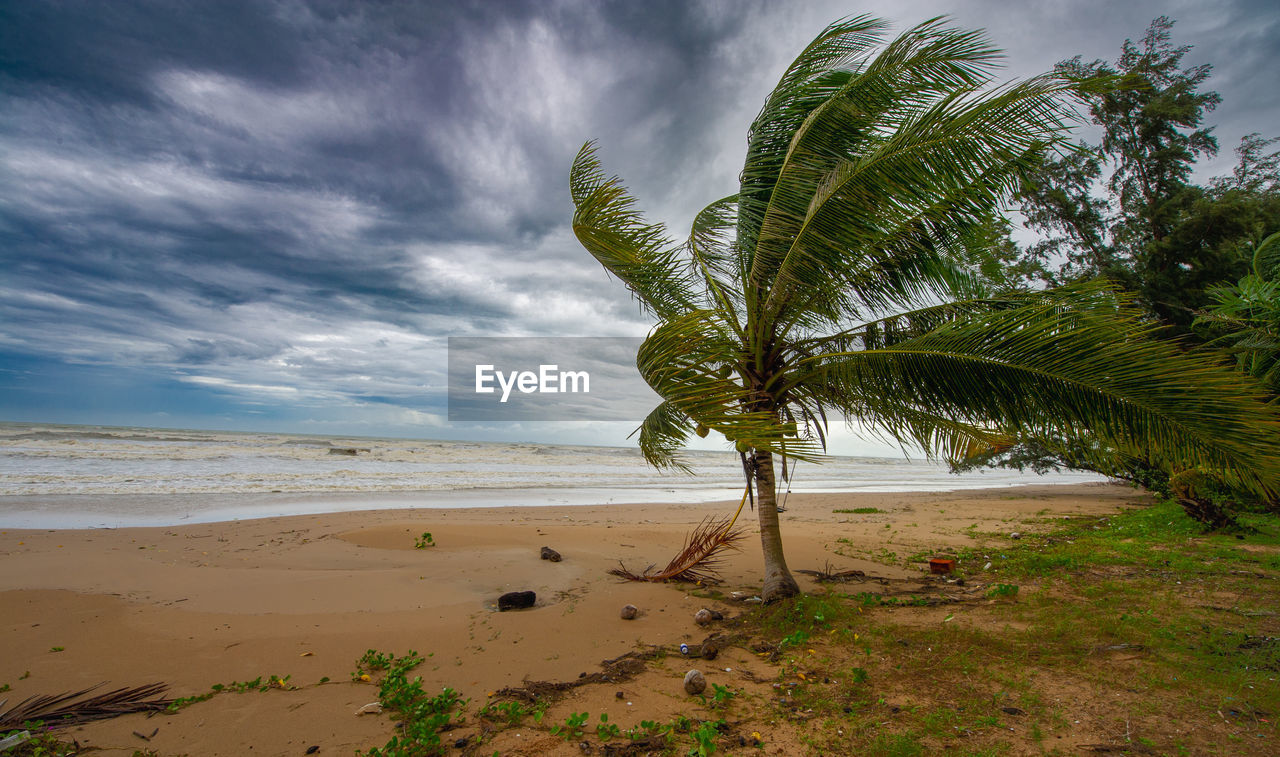 land, beach, sky, tree, water, sea, sand, cloud, tropical climate, palm tree, plant, nature, environment, scenics - nature, beauty in nature, coast, ocean, body of water, landscape, tropics, coconut palm tree, tranquility, travel destinations, shore, travel, outdoors, no people, tranquil scene, tropical tree, horizon over water, natural environment, vacation, horizon, coastline, trip, holiday, tourism, leaf, water's edge, dramatic sky, seascape, cloudscape, day, island, wave, non-urban scene
