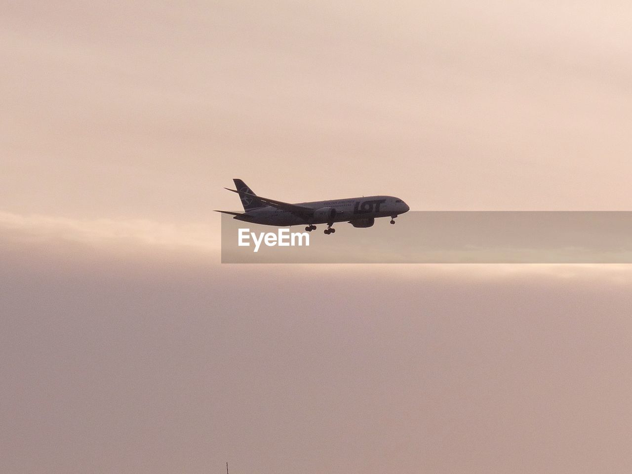 LOW ANGLE VIEW OF SILHOUETTE AIRPLANE FLYING AGAINST SKY