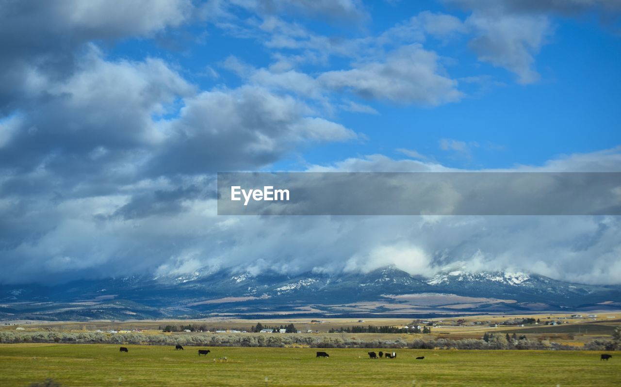 Scenic view of a montana landscape against sky