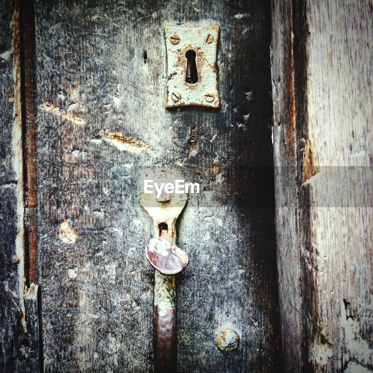 Close-up of abandoned wooden door