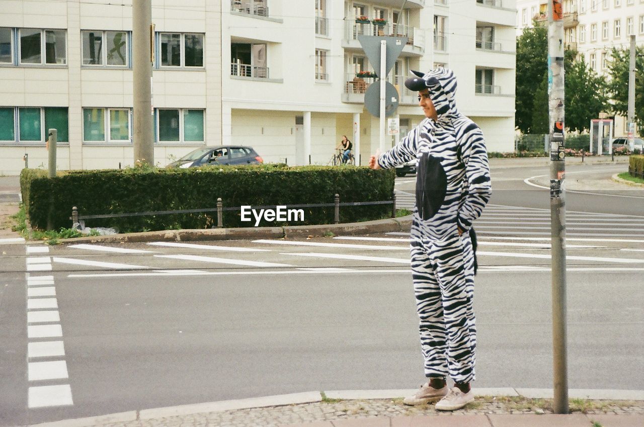 Full length of man in zebra costume hitchhiking in city